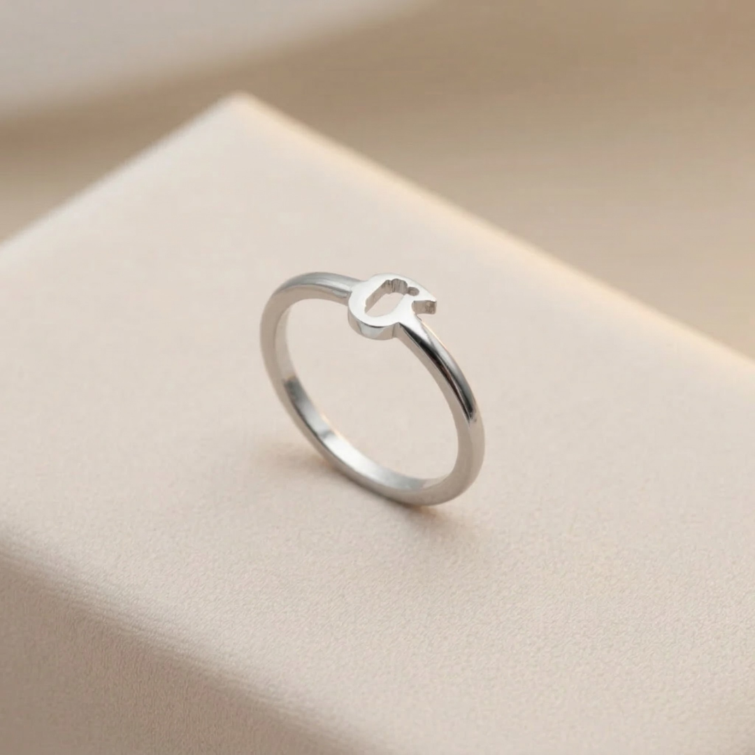 Bague interchangeable acier inoxydable Swiss Made – Akhal Suisse